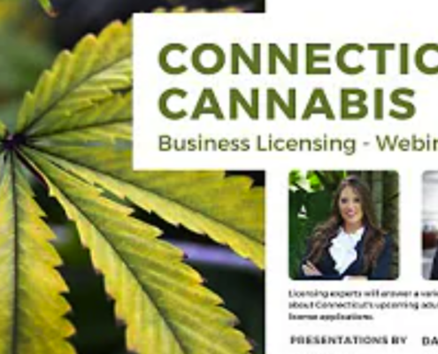 Connecticut Cannabis Business Licensing | Mr. Cannabis Law